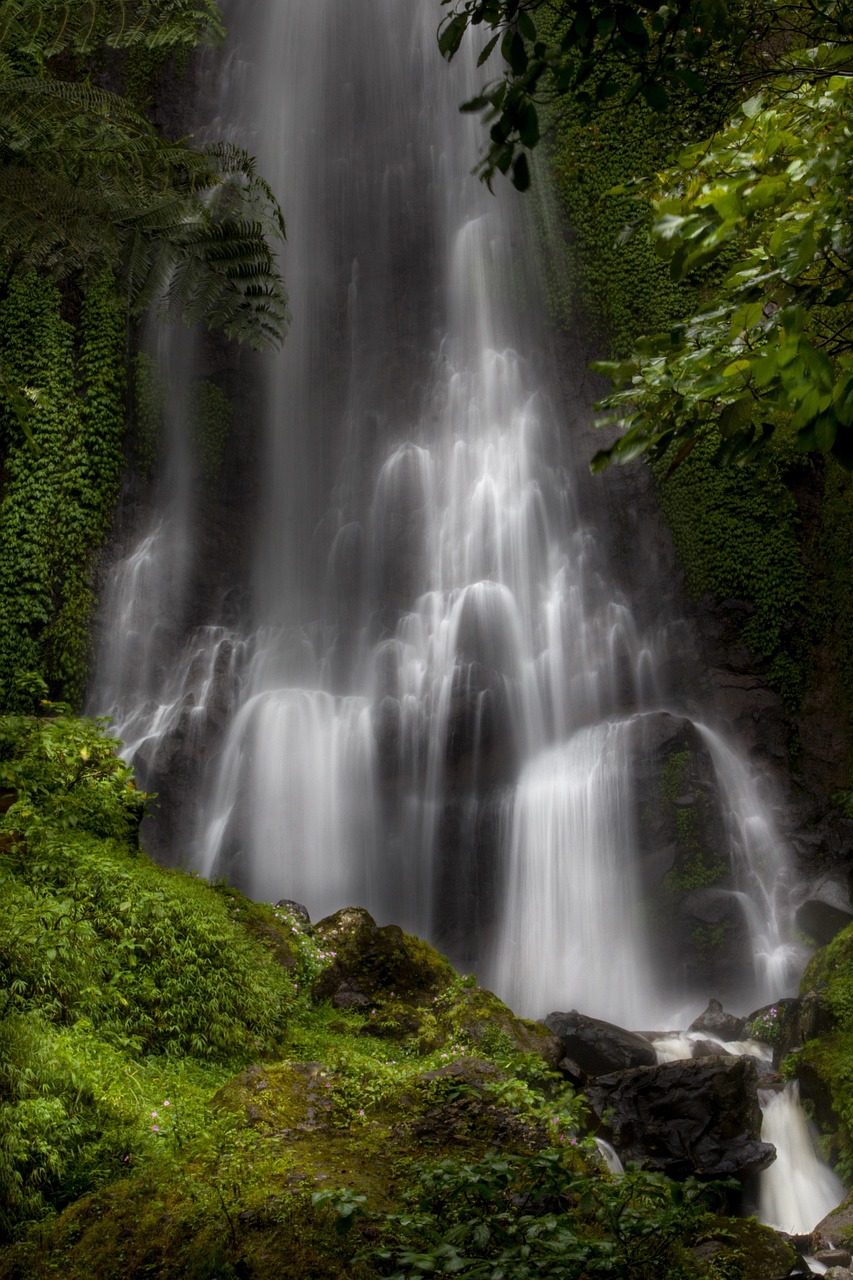 waterfall, nature, water, tree, moss, scenery, natural